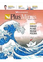 Rzeczpospolita 262/2020