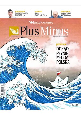 Rzeczpospolita 262/2020