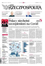 Rzeczpospolita 272/2020