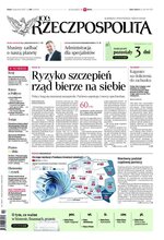 Rzeczpospolita 294/2020