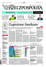 Rzeczpospolita 95/2020