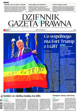 Dziennik Gazeta Prawna 116/2020