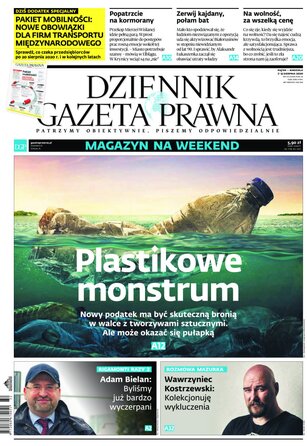 Dziennik Gazeta Prawna 153/2020