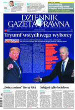 Dziennik Gazeta Prawna 217/2020
