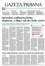 Dziennik Gazeta Prawna 22/2020