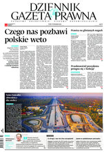 Dziennik Gazeta Prawna 225/2020