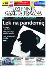 Dziennik Gazeta Prawna 232/2020