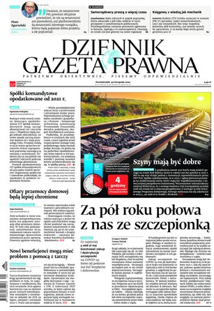 Dziennik Gazeta Prawna 233/2020