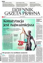 Dziennik Gazeta Prawna 29/2020