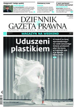 Dziennik Gazeta Prawna 31/2020