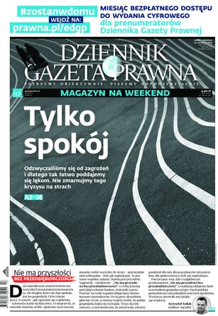 Dziennik Gazeta Prawna 61/2020