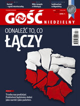 Gość Niedzielny Elbląski 29/2020