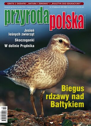 Przyroda Polska 10/2020