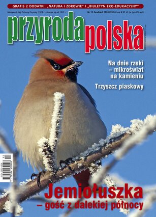 Przyroda Polska 12/2020