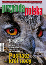 Przyroda Polska 2/2020