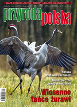 Przyroda Polska 3/2020