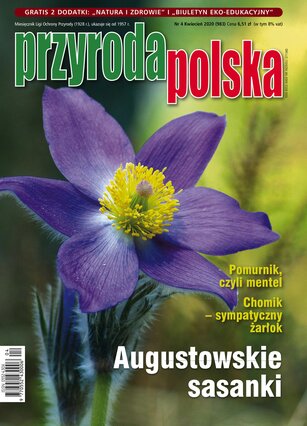 Przyroda Polska 4/2020