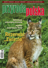 Przyroda Polska 6/2020