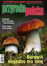 Przyroda Polska 9/2020