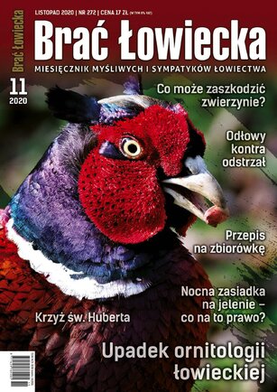 Brać Łowiecka 11/2020