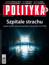 Polityka 17/2020