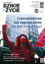 Dzikie Życie 10/2020