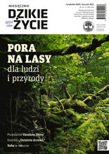 Dzikie Życie 12/2020