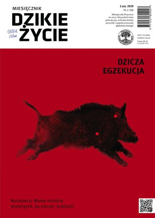 Dzikie Życie 2/2020