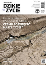 Dzikie Życie 3/2020