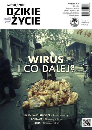 Dzikie Życie 4/2020