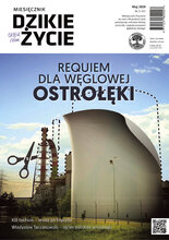 Dzikie Życie 5/2020
