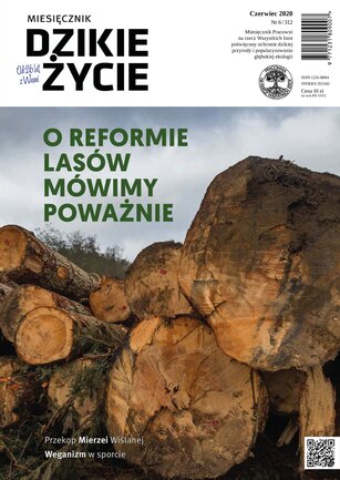 Dzikie Życie 6/2020