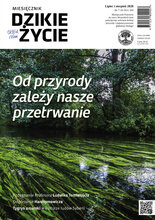 Dzikie Życie 7/2020