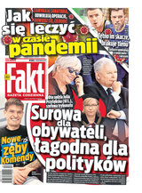 Fakt 252/2020