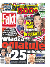 Fakt 265/2020