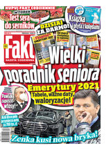 Fakt 298/2020