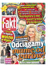 Fakt 300/2020