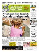 Strzelec Opolski 31/2020