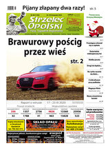Strzelec Opolski 46/2020
