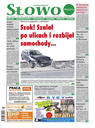 Słowo Regionu Strzelińskiego 38/2020