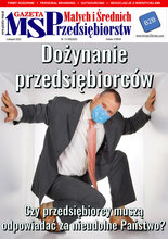 Gazeta Małych i Średnich Przedsiębiorstw 11/2020