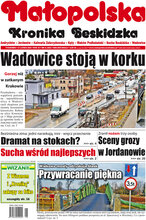 Kronika Beskidzka Małopolska 8/2020