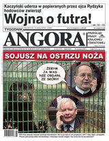 Angora 38/2020