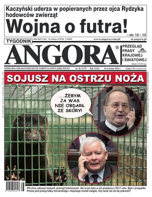 Angora 38/2020