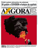 Angora 46/2020