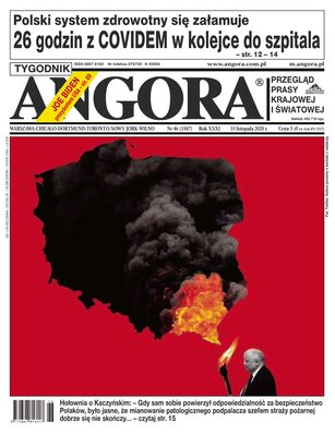 Angora 46/2020