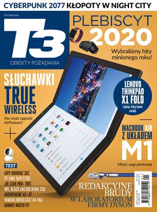 T3 1/2021
