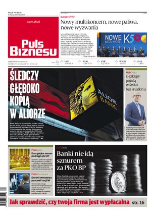 Puls Biznesu 195/2021