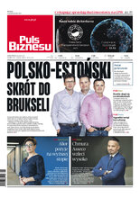 Puls Biznesu 197/2021