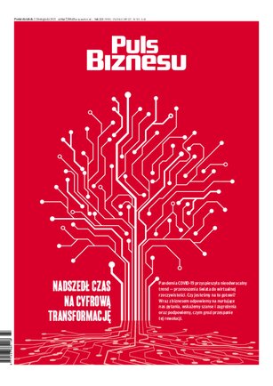 Puls Biznesu 223/2021